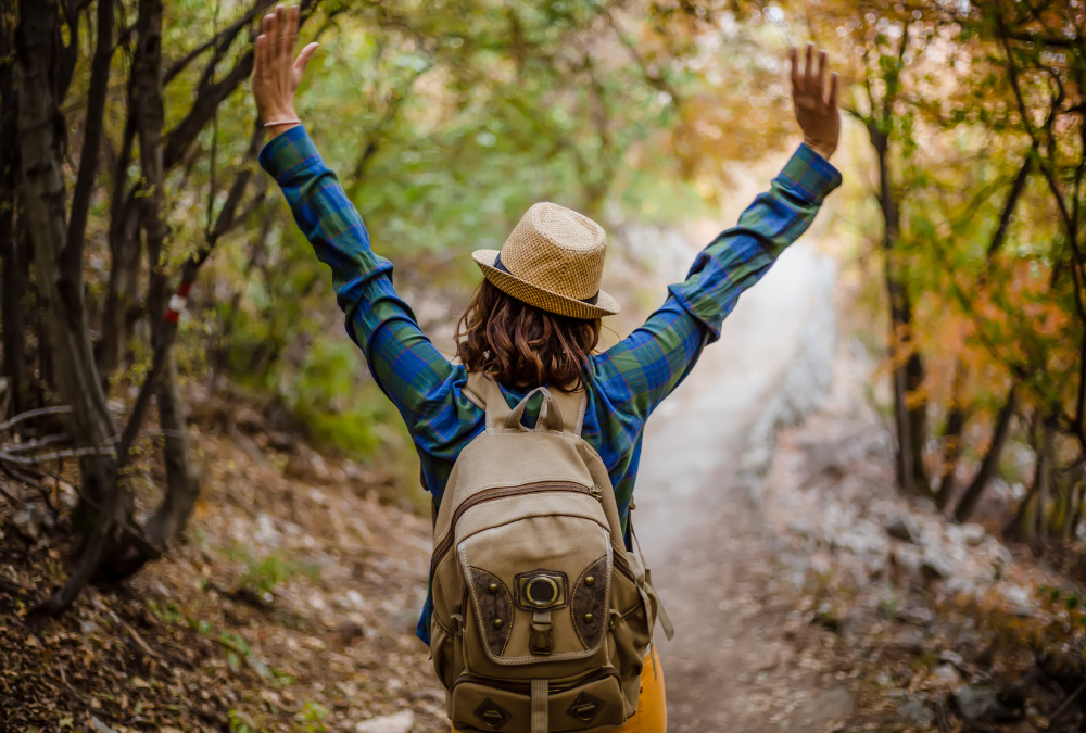 The Rise of Digital Detox Retreats: Finding Balance in the Tech-Driven World