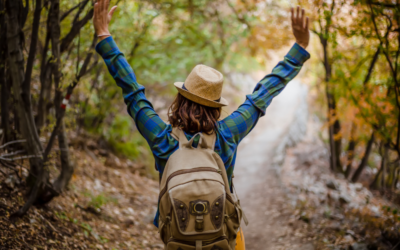 The Rise of Digital Detox Retreats: Finding Balance in the Tech-Driven World