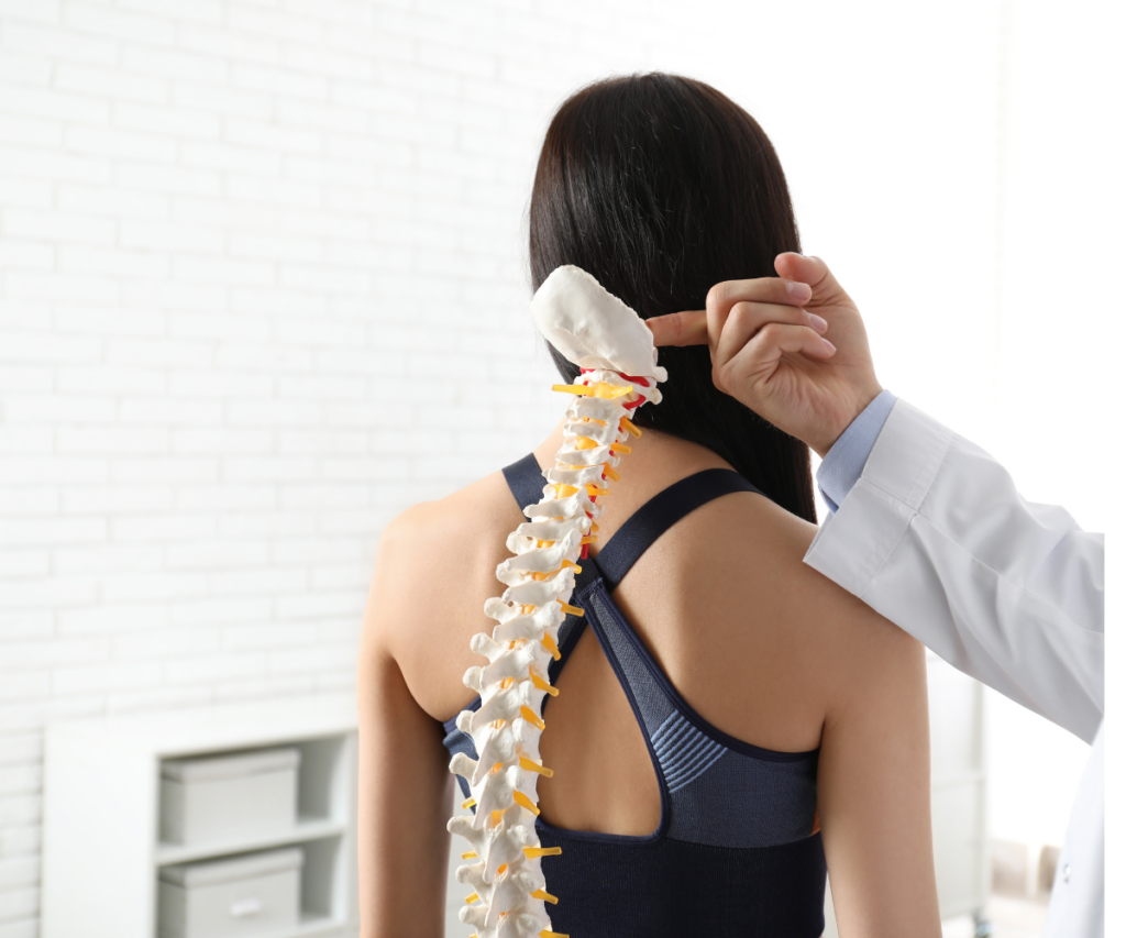 bone density in menopause