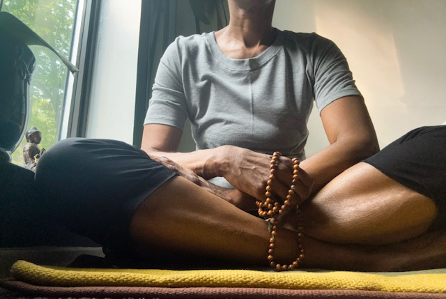 Raja Yoga- michellew 