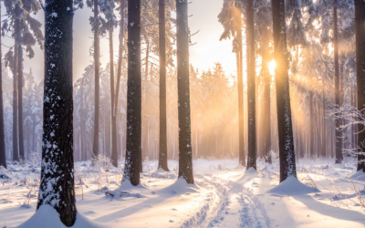 Soft Winter Reset: 9 Tiny Rituals to Calm Your Nervous System + Sleep Deeper
