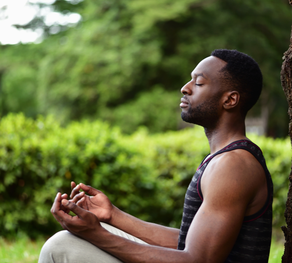 begin meditating