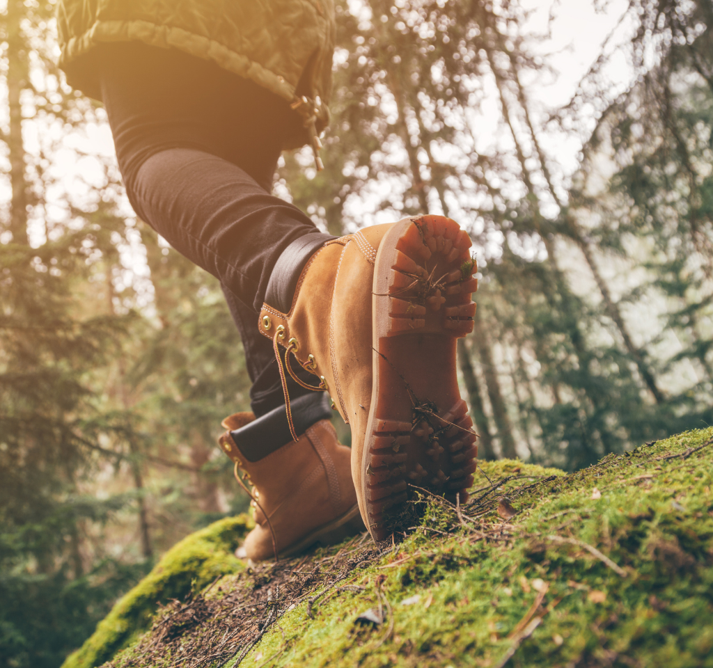 Nature hike 
