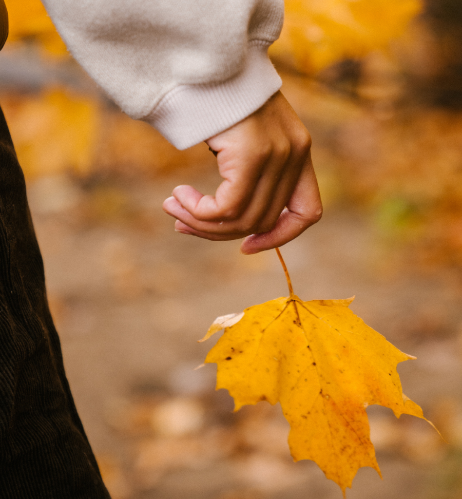 Close-up of a hand holding a golden autumn leaf by its stem, with yellow foliage blurred in the background.