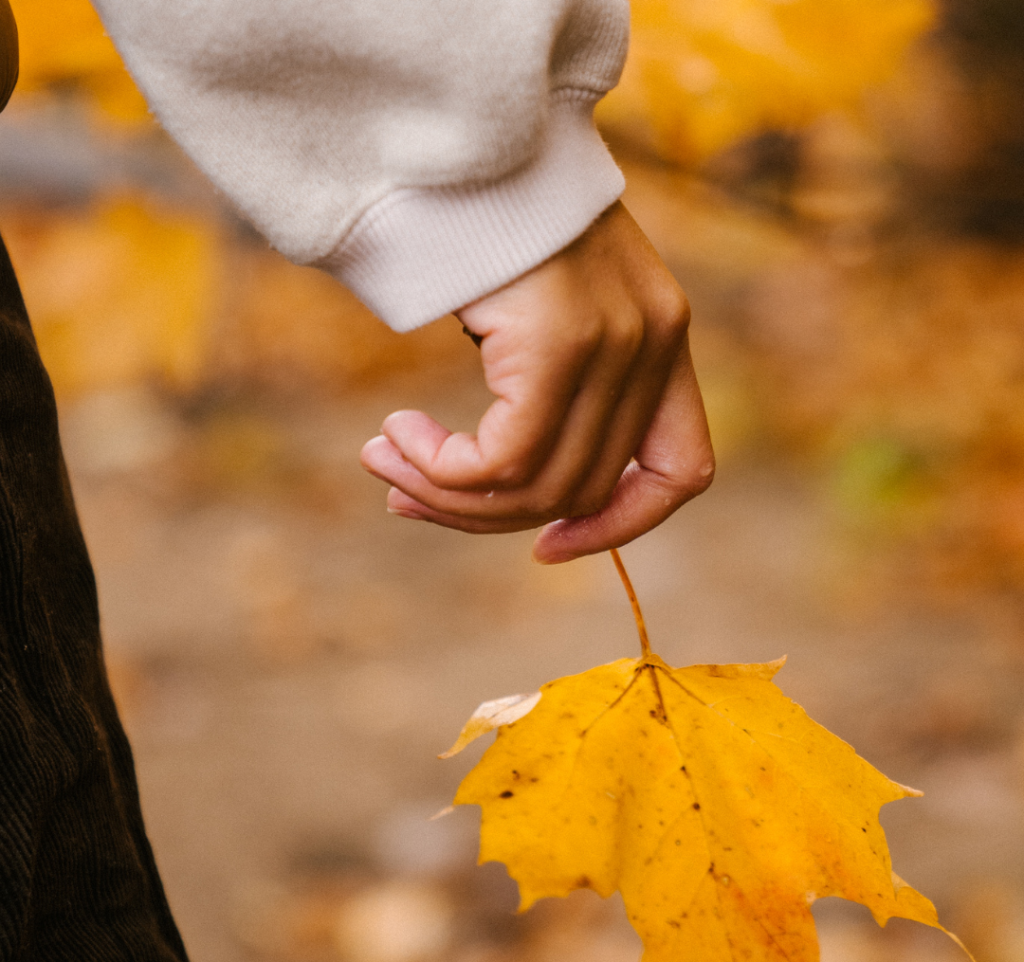Close-up of a hand holding a golden maple leaf by its stem, with a cream sweater sleeve and blurred autumn foliage behind it.